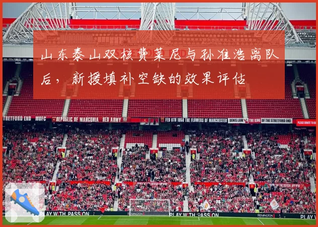 山东泰山双核费莱尼与孙准浩离队后，新援填补空缺的效果评估