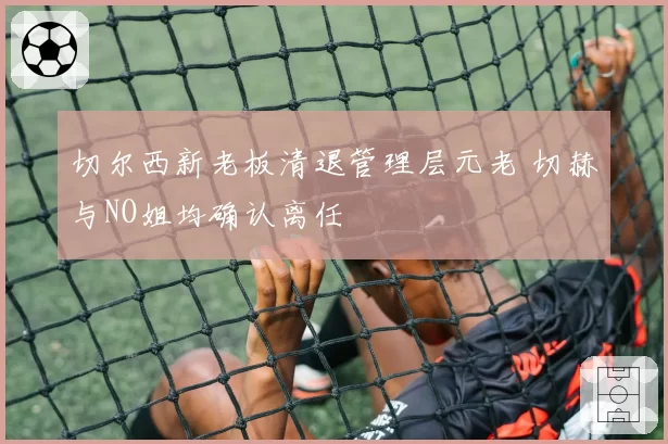 切尔西新老板清退管理层元老 切赫与NO姐均确认离任